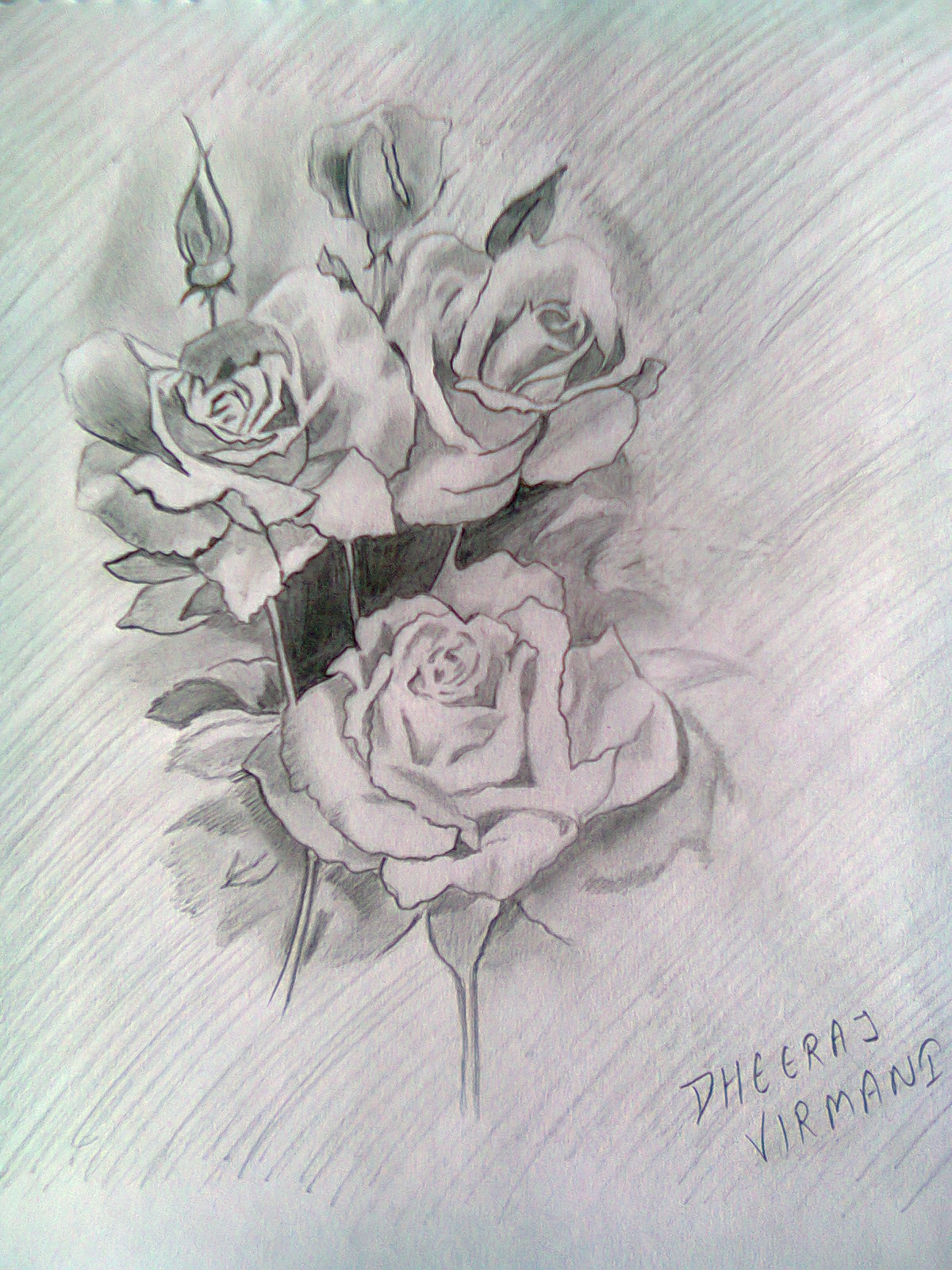 Animal Sketch Pencil Drawing Rose with simple drawing