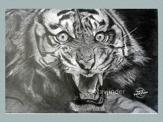 Ferocious Tigress - DesiPainters.com