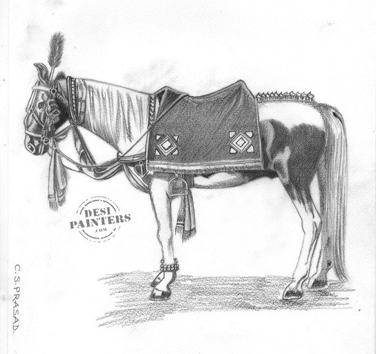 Horse Sketch - DesiPainters.com