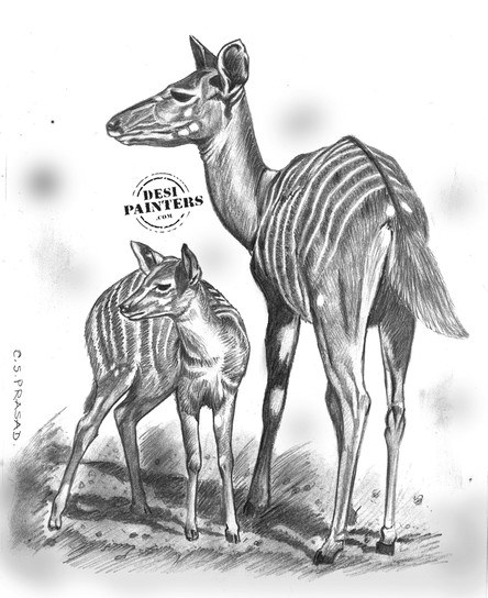 Pencil sketch of Deers - DesiPainters.com