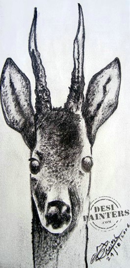 Deer - DesiPainters.com