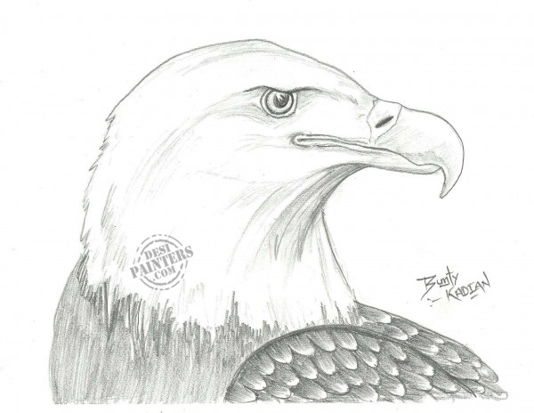 my eagle