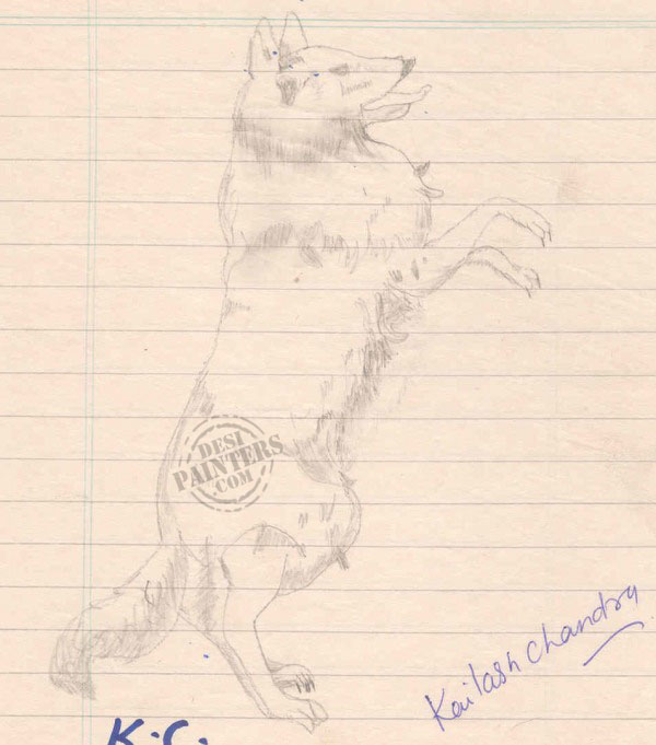 Dog Pencil Sketch - DesiPainters.com