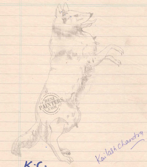 Dog Pencil Sketch - DesiPainters.com