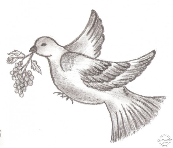 Pencil Sketch of Bird - DesiPainters.com