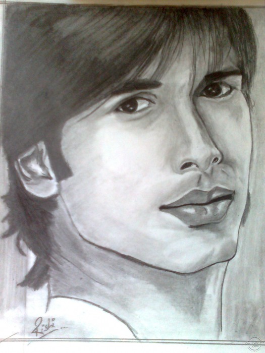 Pencil Sketch of Shahid Kapoor by Rishi