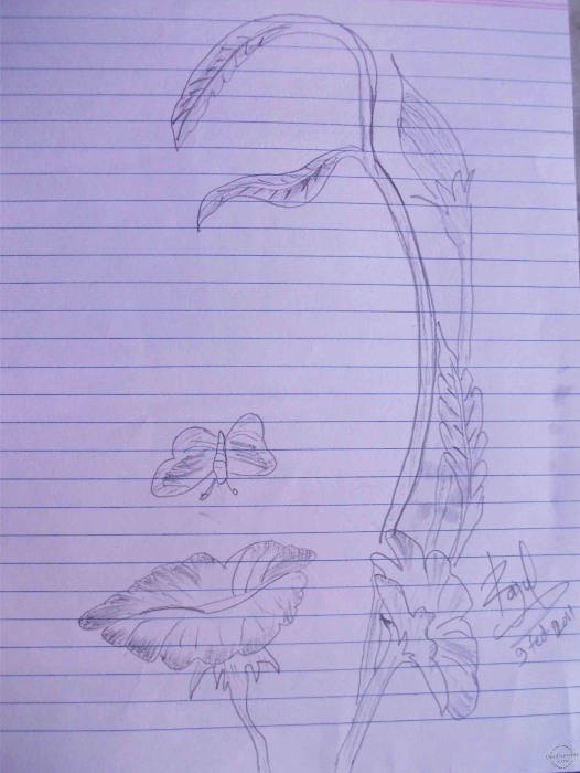 Pencil Sketch of flower girl