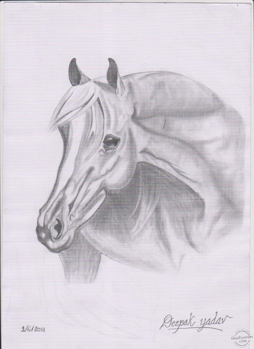 Horse Art by Deepak Yadav - DesiPainters.com