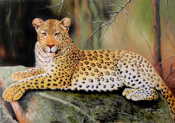 Leopard made by Oil Colors