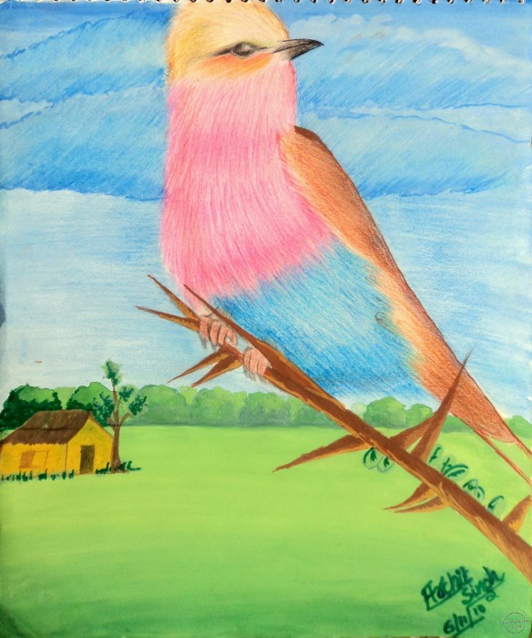 Beautiful Bird - DesiPainters.com