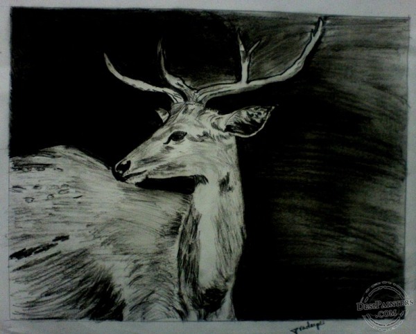 Deer Sketch - DesiPainters.com
