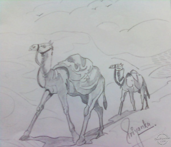 Camel Sketch - DesiPainters.com