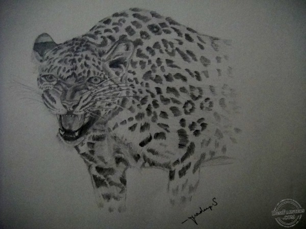 Pencil Sketch of Cheetah - DesiPainters.com