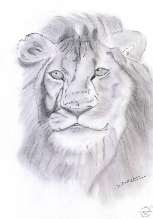 Pencil Sketch of Lion - DesiPainters.com