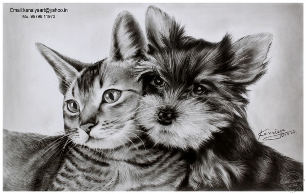 Charcoal Drawing of Cat and Dog - DesiPainters.com