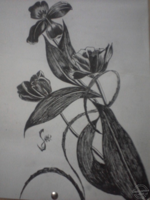 Pen painting of flowers