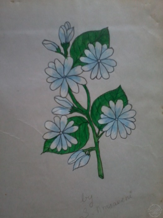 Beautiful Flower Painting by Amsaveni - DesiPainters.com