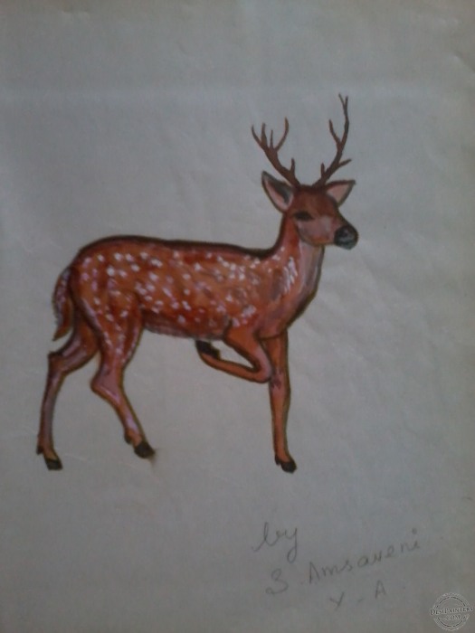 Deer Painting by Amsaveni