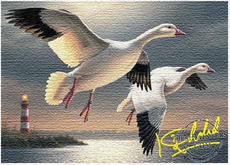 Birds Digital Painting - DesiPainters.com
