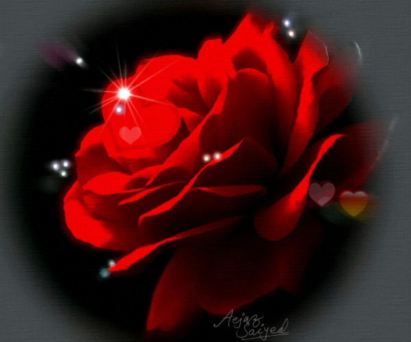 Rose with Love.. - DesiPainters.com
