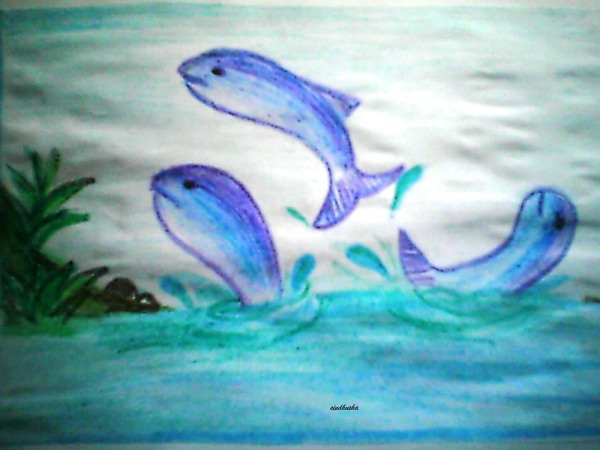 Shark Crayon Painting