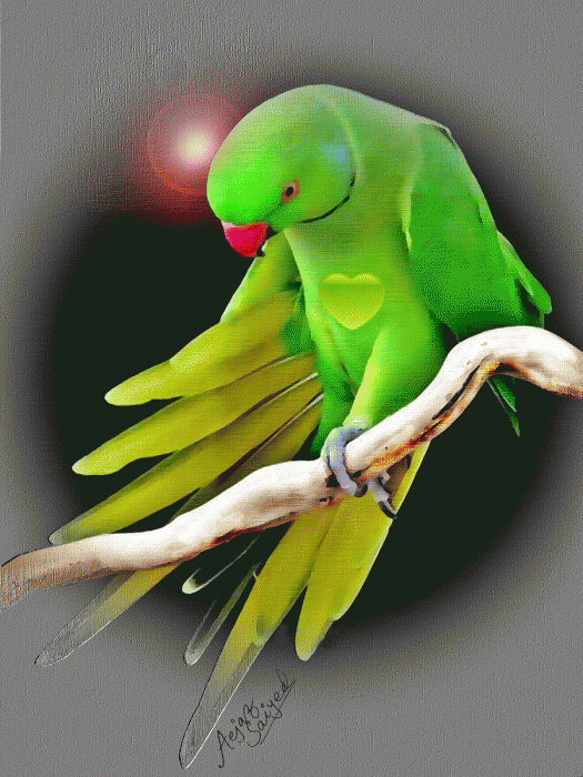 Digital Painting of Parrot