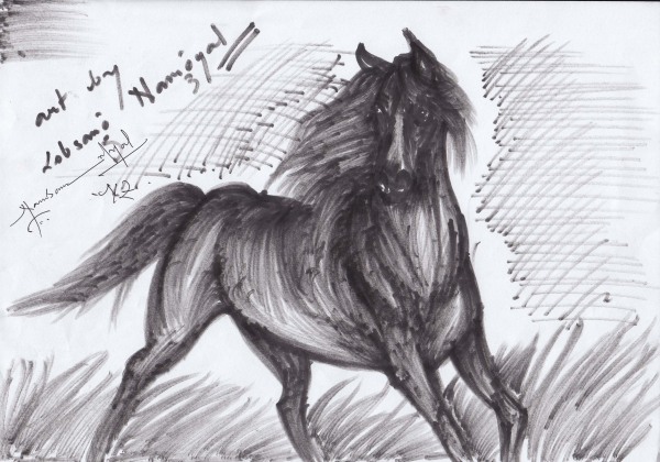 Horse Pencil Sketch - DesiPainters.com