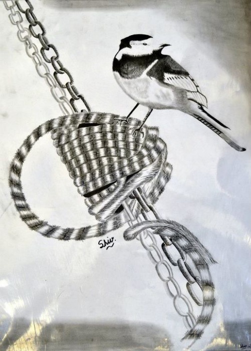 Pencil Sketch of Bird