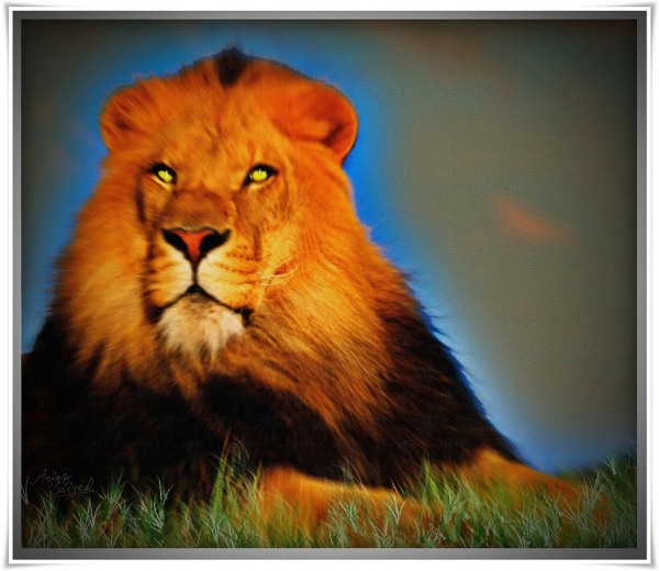 Digital Painting of Lion