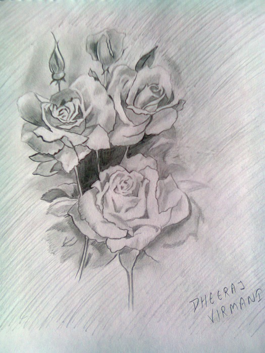 Pencil Sketch of Roses - DesiPainters.com