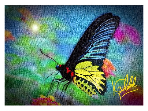 Digital Painting of Butterfly - DesiPainters.com
