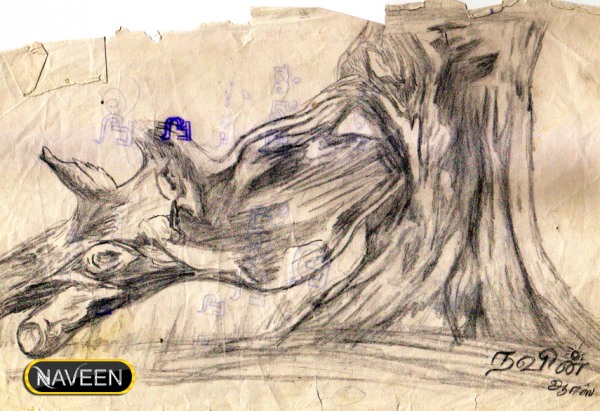 Pencil Sketch of Trees - DesiPainters.com