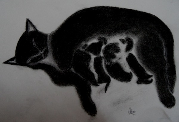 Mommy Cat with 4 kittens - DesiPainters.com