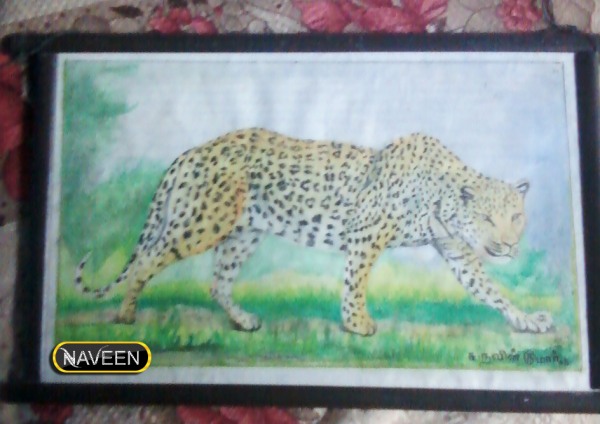 Watercolor Painting of Leopard - DesiPainters.com