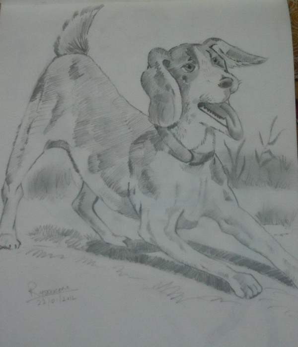 Pencil Sketch of Dog - DesiPainters.com