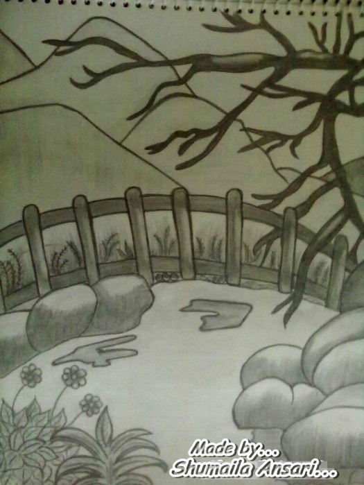 Pencil Sketch by Shumaila Ansari - DesiPainters.com