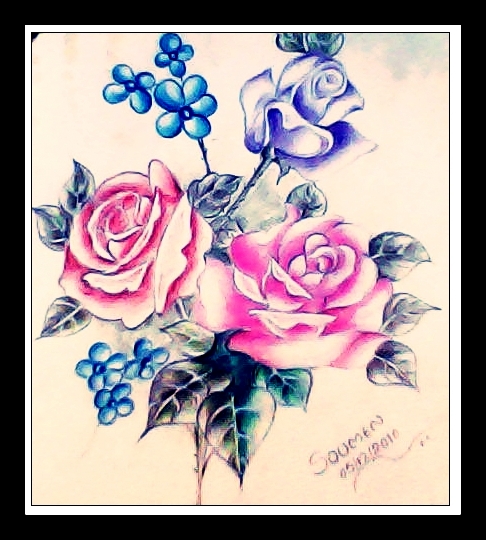 Rose Drawing Using Pencil Colors - DesiPainters.com