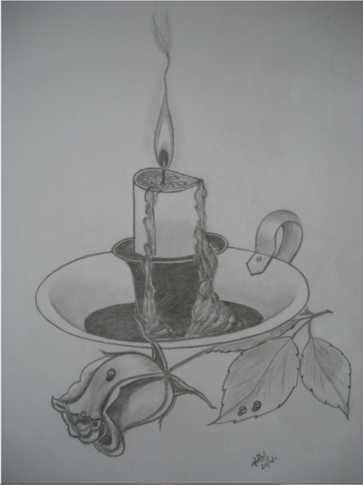 Candle With A Rose Flower Pencil Sketch