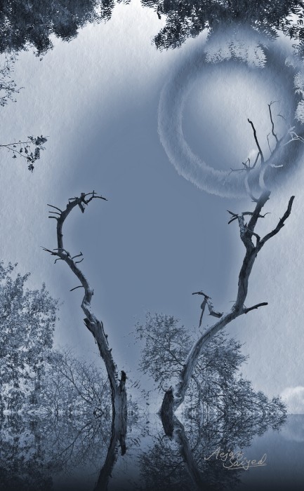 Digital Painting of Tree