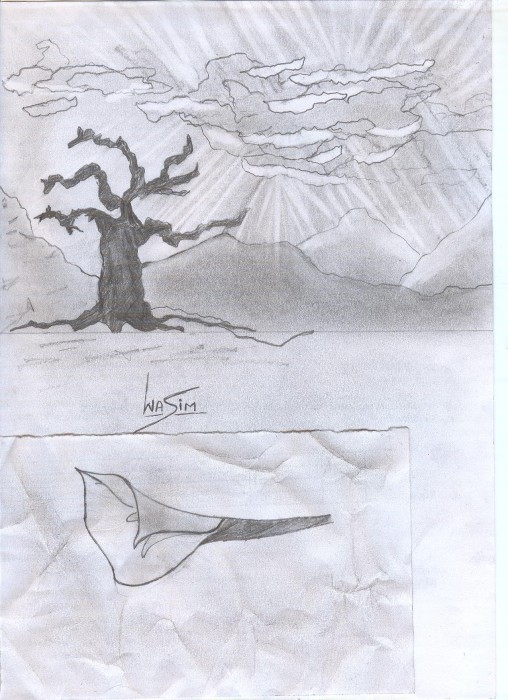 Beautiful Sketch by Wasim - DesiPainters.com
