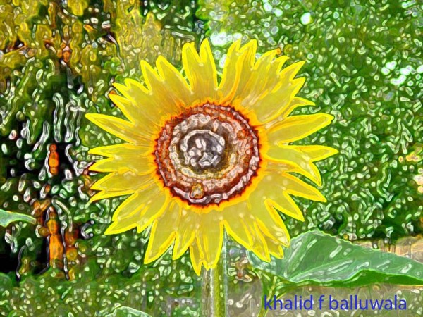 Digital Painting Of A Sunflower - DesiPainters.com