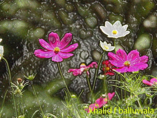 Digital Flowers Painting By Khalid