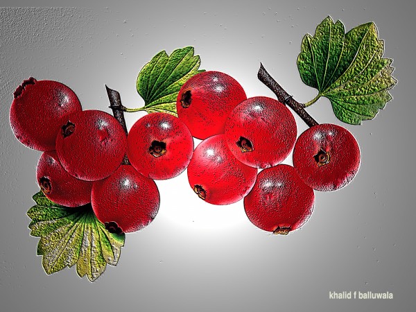 Painting Of Cherry Fruit