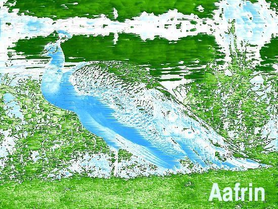 Painting Of A Peacock - DesiPainters.com
