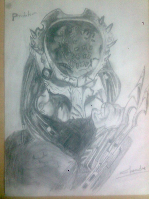 Pencil Sketch Of Predator