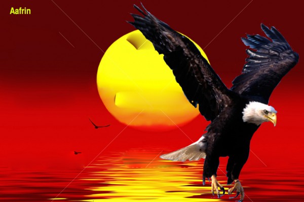 Digital Painting Of An Eagle