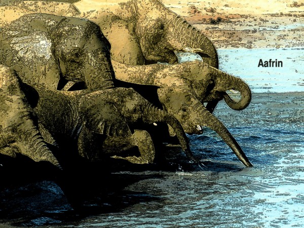 Digital Painting Of Elephants