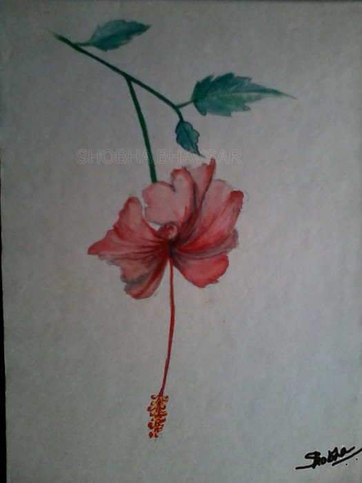 Painting Of A Hibiscus Flower - DesiPainters.com