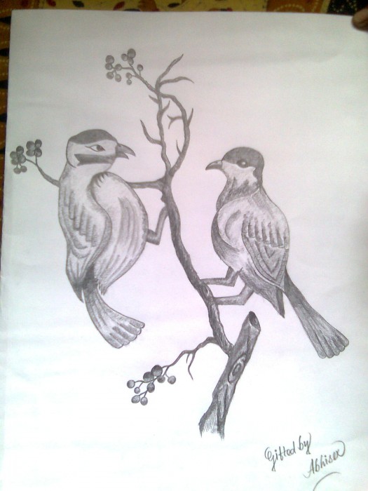 Pencil Sketch Of Love Birds - DesiPainters.com