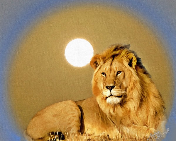 Digital Painting Of A Lion